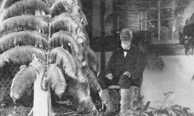 Archival photo of Lyman.