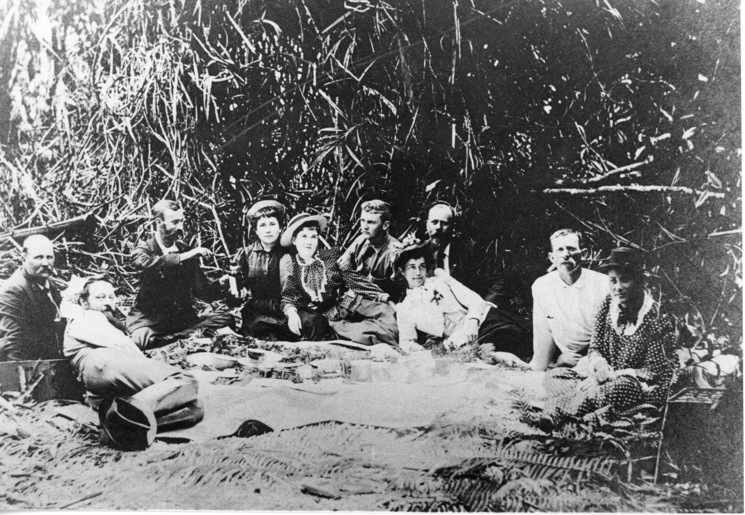 Picnic in park scaled